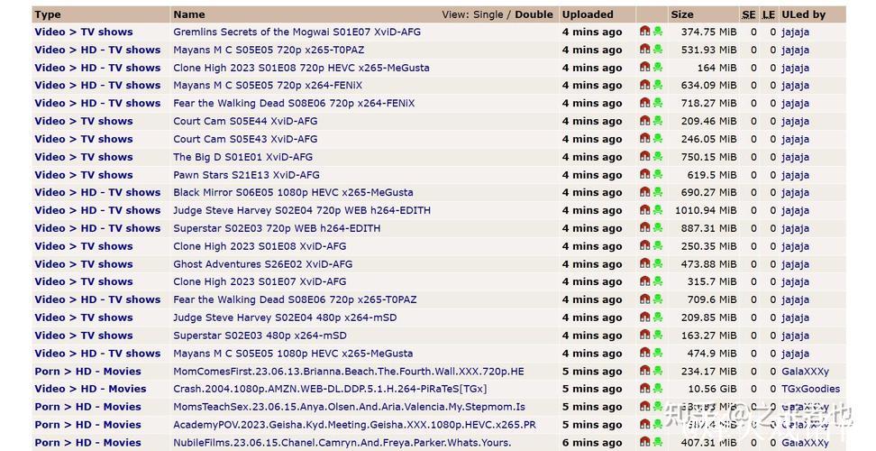 种子磁力搜索资源获取指南